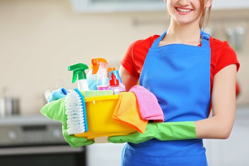 Professional oven cleaning service for a home kitchen in E2