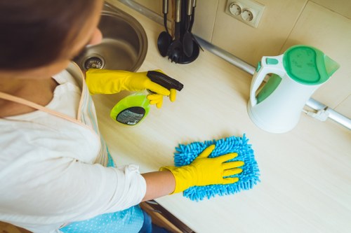 Step-by-step rug cleaning process for a local E2 property