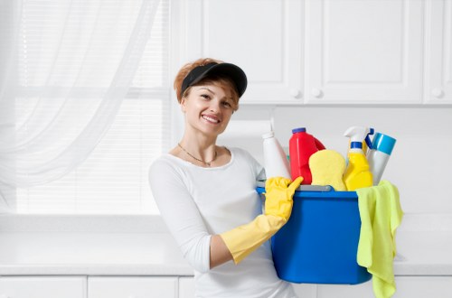 Professional window cleaning for E2 homes and flats