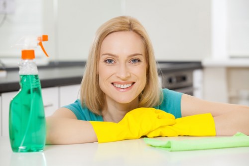 Illustration representing screen-reader friendly carpet cleaners E2 page