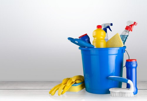 Deep cleaning a carpet in a busy E2 property