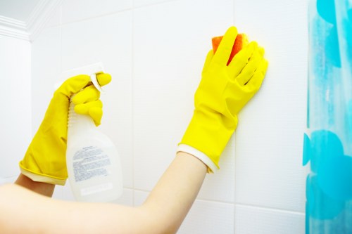 Stain removal process for rugs and soft furnishings in E2