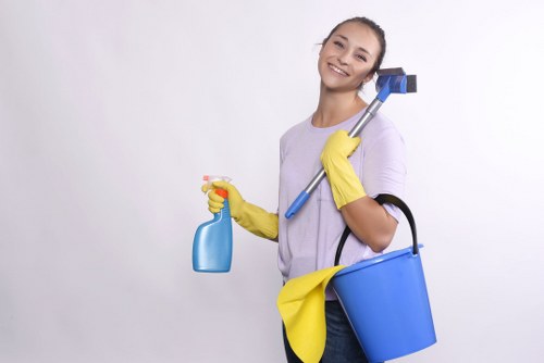 Detailed cleaning of a living space before moving into a home in E2
