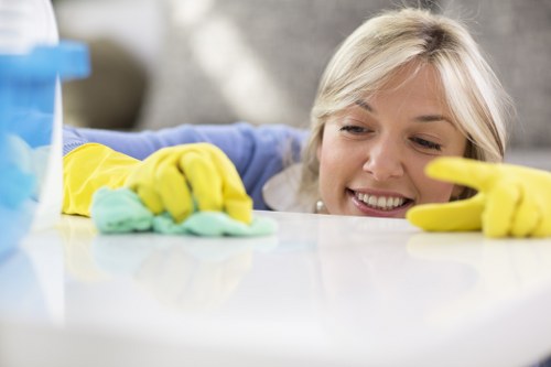 House cleaning appointment for a family home or small business property in E2