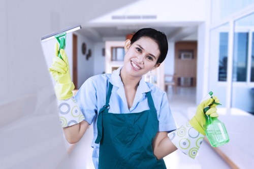 Deep cleaning a mattress to remove stains and dust in East London