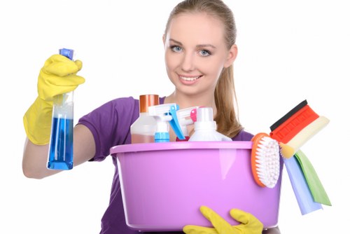 Deep carpet cleaning equipment used in an E2 home