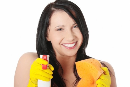 Specialist odour neutralising treatment for pet accidents in E2